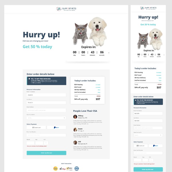 Payment Check Out Page Design