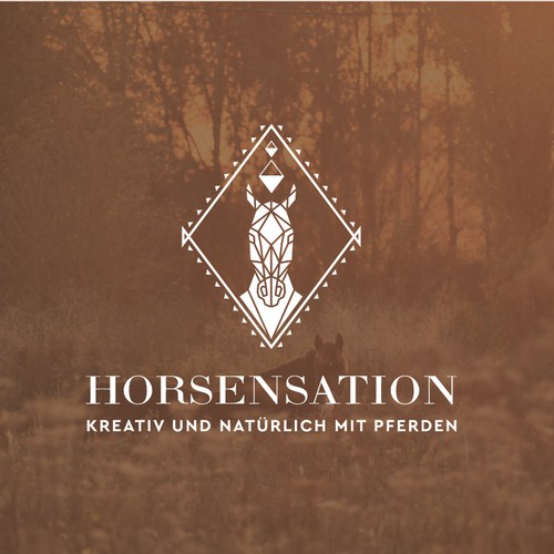 Logo design contest entry by PROMD.™