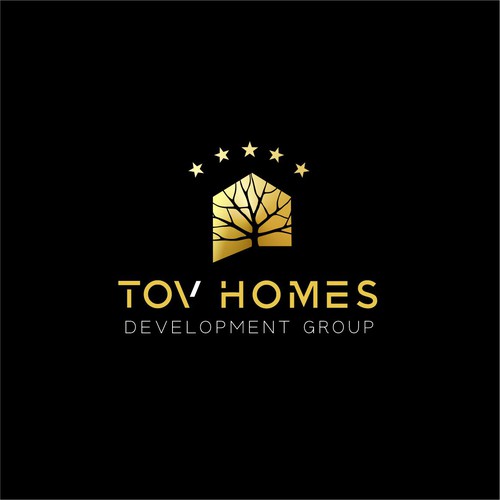 Tov Homes Development Group Design by Dmitri Cezaro