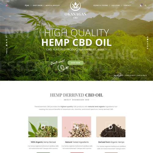 WordPress theme design contest entry by AnitaH