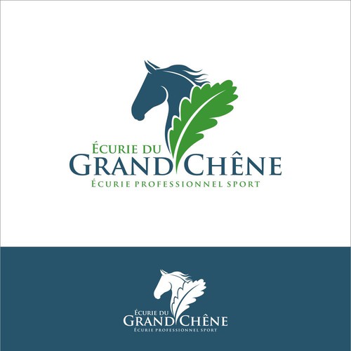  contest entry by AzZura83