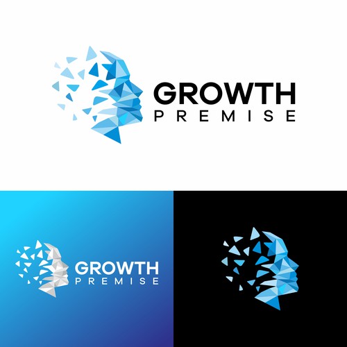 Logo and brand package for an IP company focused on leadership, growth, and mental frameworks Design by Hochbaum