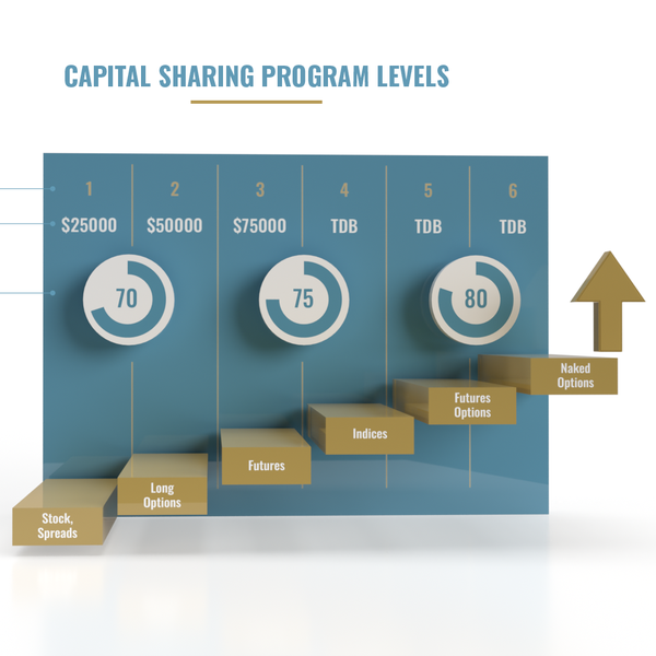 Design by Dario Tulian titled "Infographic"