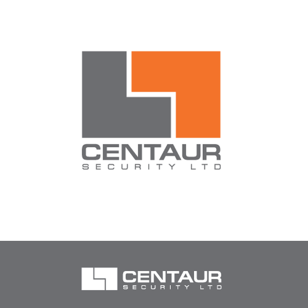 Professional Security Logo