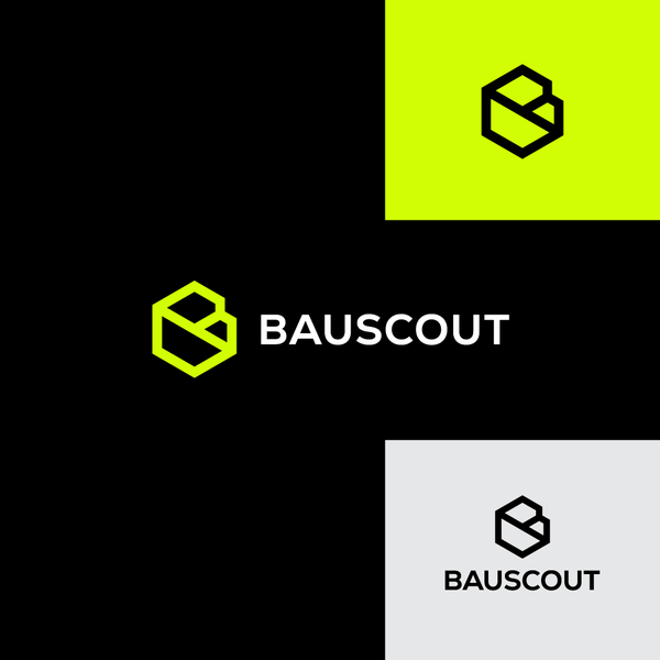 BAUSCOUT