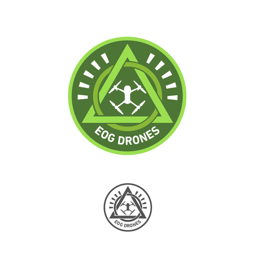 Custom Drone Company Logo Design by rulasic