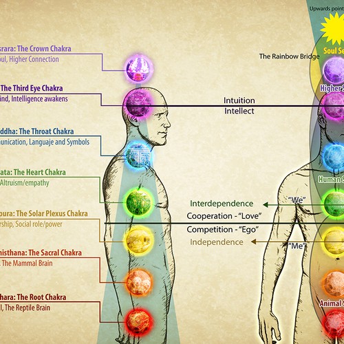 human electromagnetic field