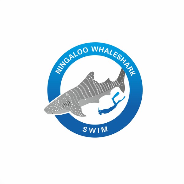 Ningaloo Whaleshark Swim