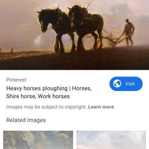 81774566_570608997114345_1828579667687243776_n.jpg