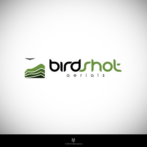 Create a high-flying view for Birdshot Aerials Design by Mastah Killah 187