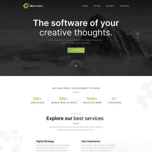 Website Design for Software Developer Company Design by WebNest™