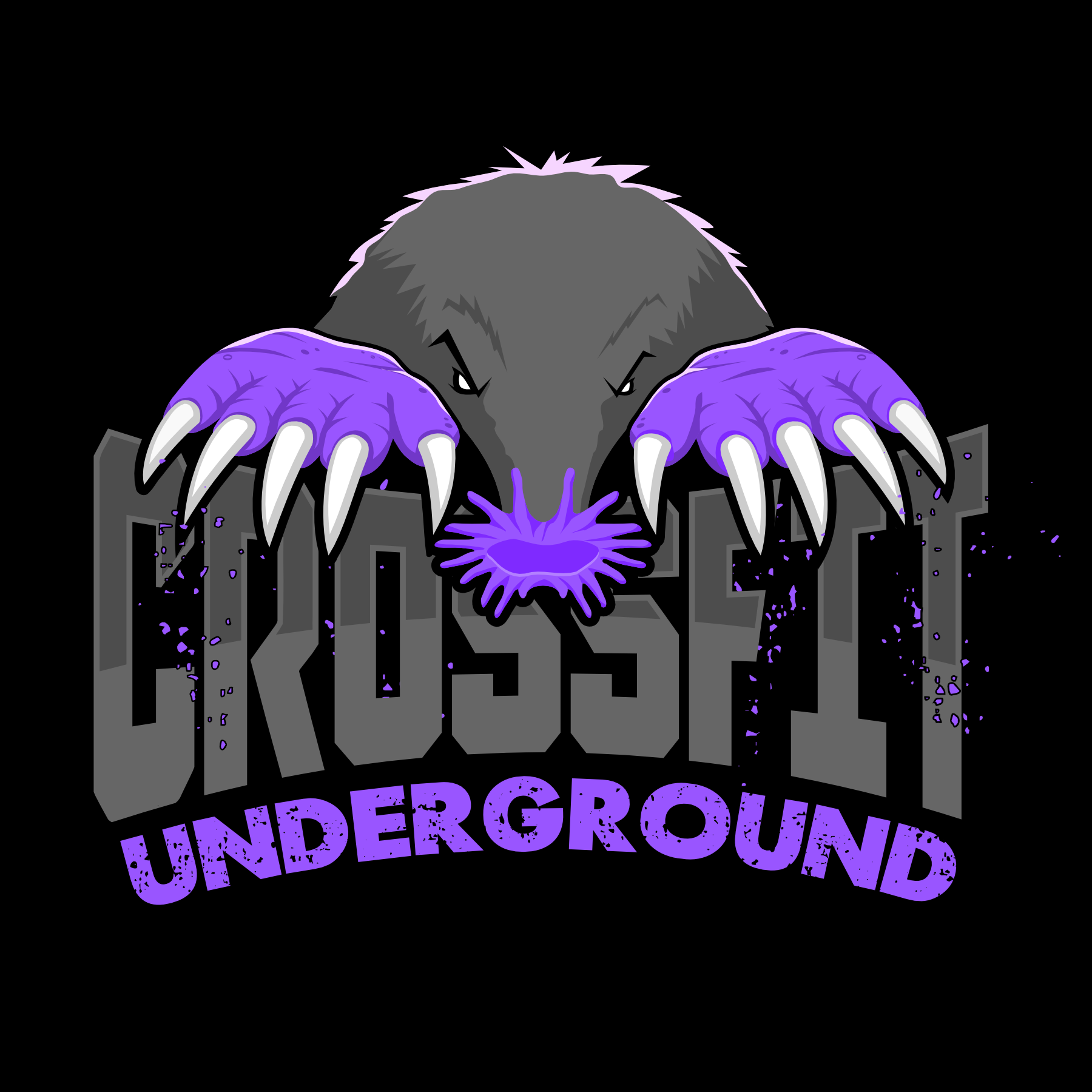 Gray and purple logo with the title 'CROSSFIT UNDERGROUND'