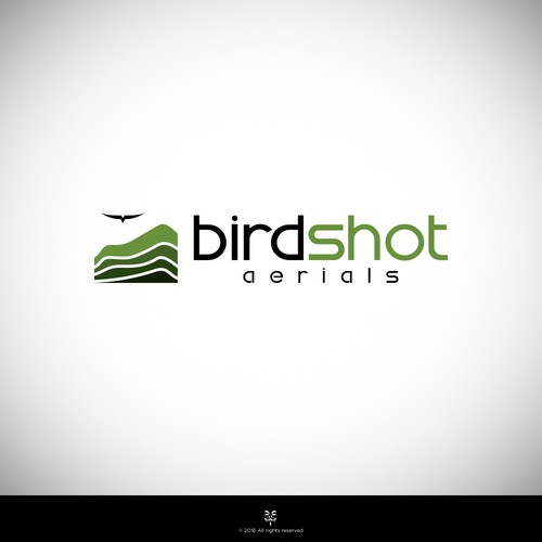 Create a high-flying view for Birdshot Aerials Design von Mastah Killah 187