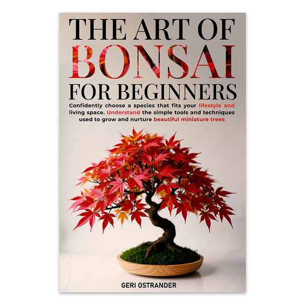 The Art of Bonsai for beginner