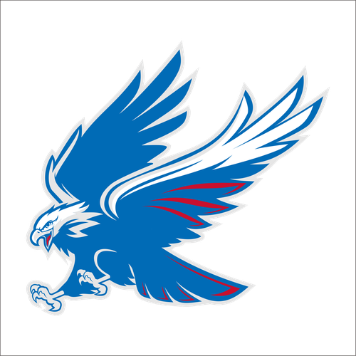 High-Flying Eagle Logo for a High-Performing School District Ontwerp door indraDICLVX