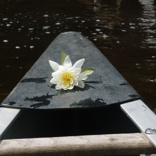 Design Rick Warren's New Book Cover Design von kdosh11