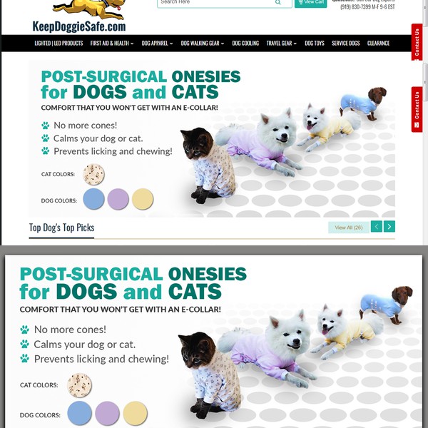 Design by Zozza titled "web site banner"