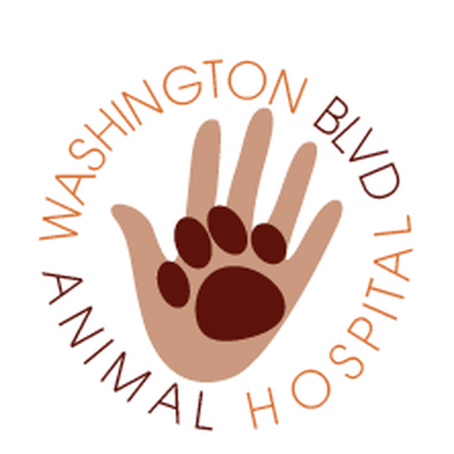 Help washington blvd animal hospital with a new logo | Logo design contest  | 99designs