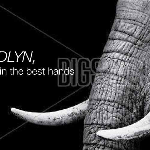 Banner ad contest entry by rumster