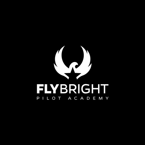 Flight School - High quality career track and recreational flight training. Design by Luel