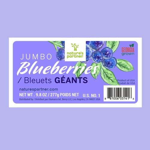 Jumbo Blueberries 9.8 oz