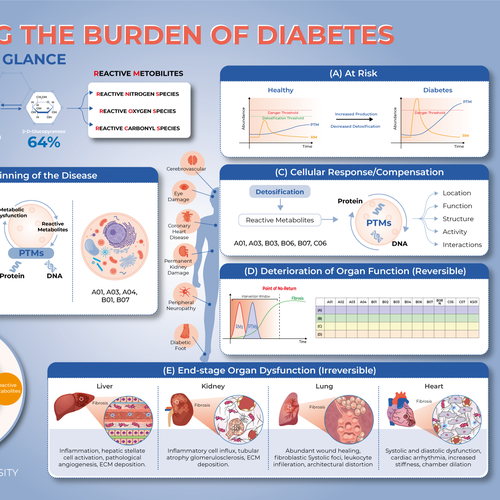 Designs | Solving the burden of diabetes - science at a glance ...