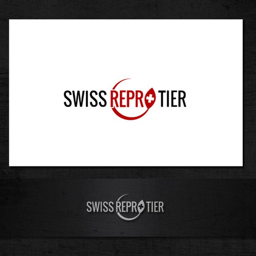 Logotipos propuesta en el concurso por sgmediaservice