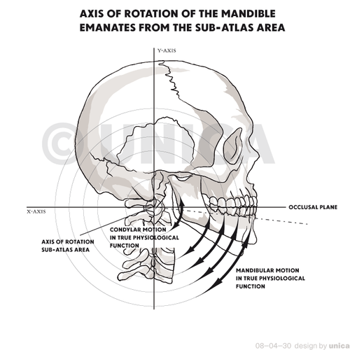 Line drawing showing how the Lower Jaw moves. | Other Graphic Design ...