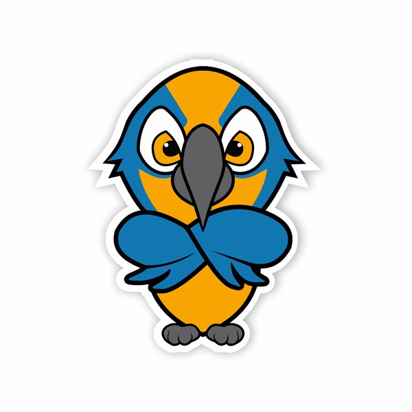 Macaw Bird Character Design