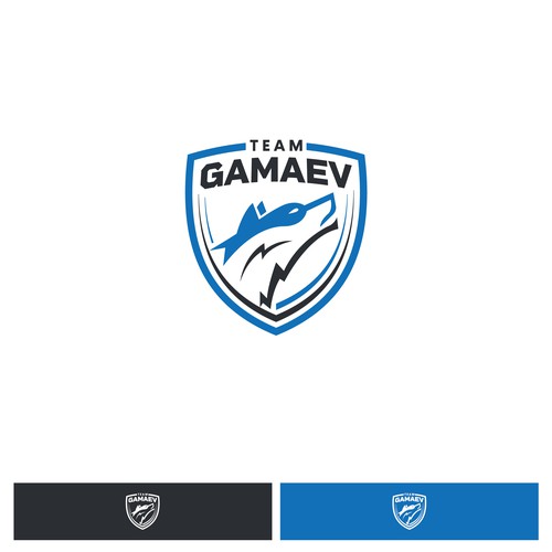 New Brand for martial arts Design by Martin Milev