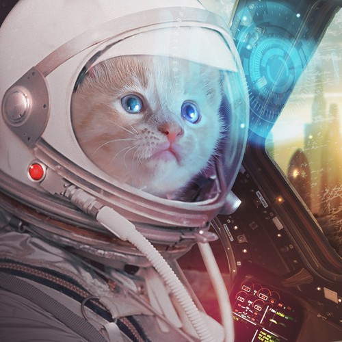 Other art or illustration contest entry by TheBhayangkara