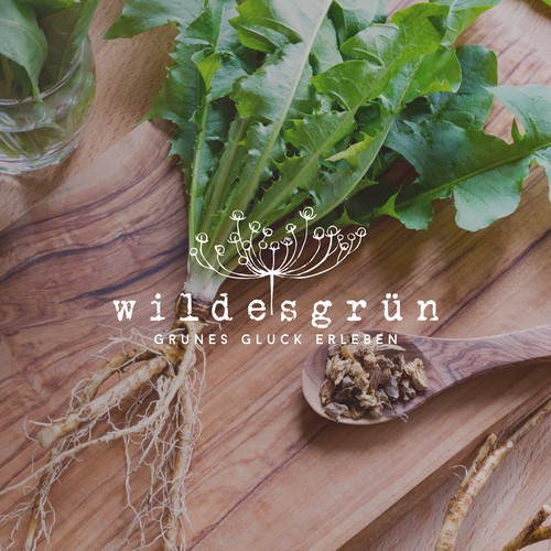  contest entry by AnaLogo