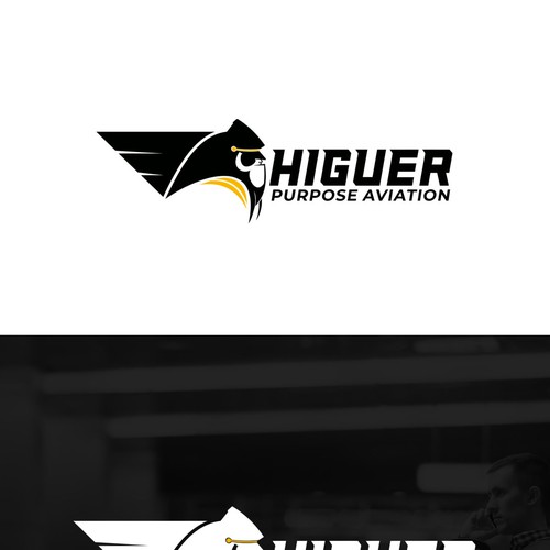 Higher Purpose Aviation Design by mateuzord