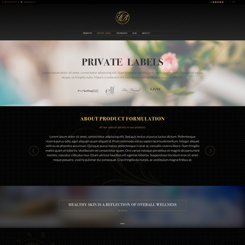 Black & gold themed website design Design by NickMiar