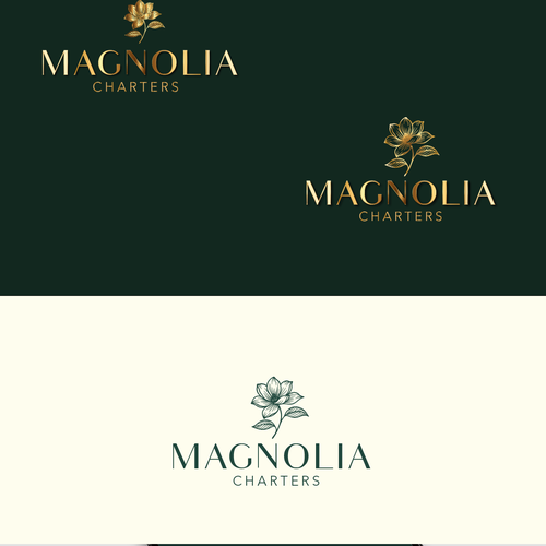 Private, luxury travel charter with Southern Charm Diseño de Angino82