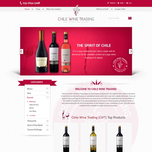 Web page design contest entry by Anonsoft™