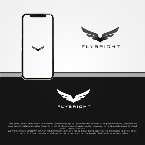 Flight School - High quality career track and recreational flight training. Design by pixelgarden