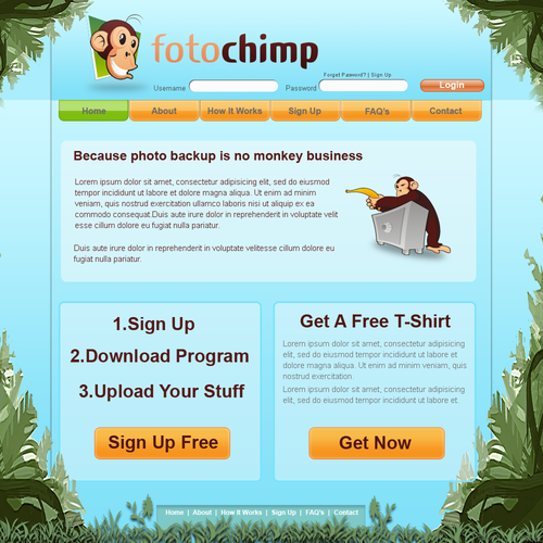 Website for FOTOCHIMP (Home page only, no coding!) Diseño de pebas