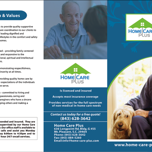 Home Care Plus Brochure And Single Page Flyer 