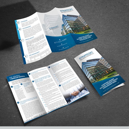 Create a professional/sleek brochure to attract accredited real estate ...