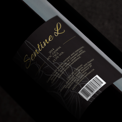  contest entry by Michael San Diego CA