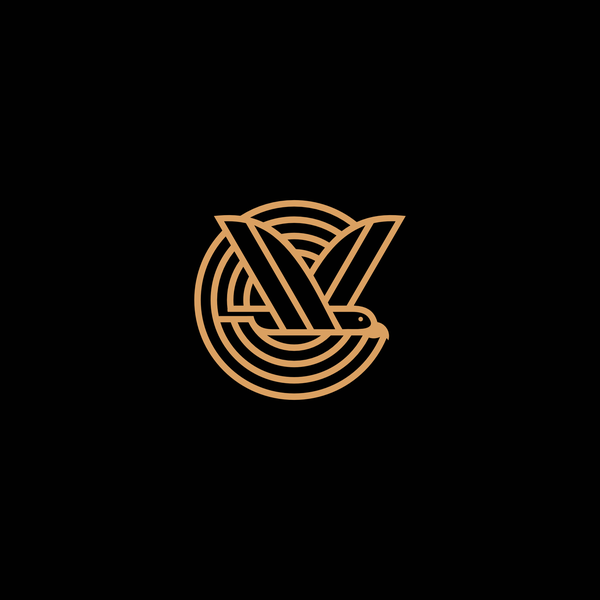 Iconic v and bird concept. For sale: contact me if you are interested.