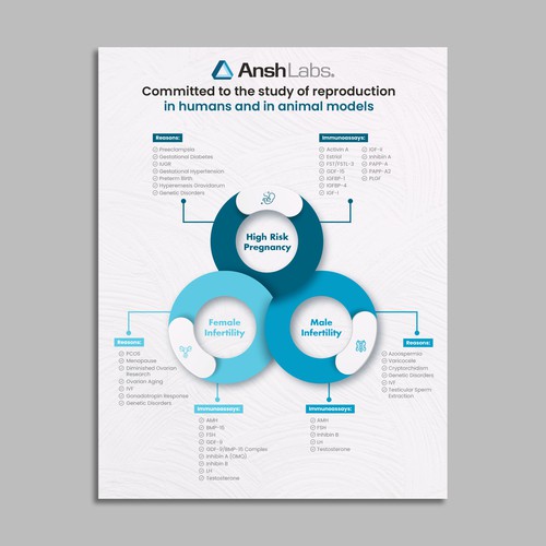 Flyer design using existing text but needs graphic design Design von HF Tushar