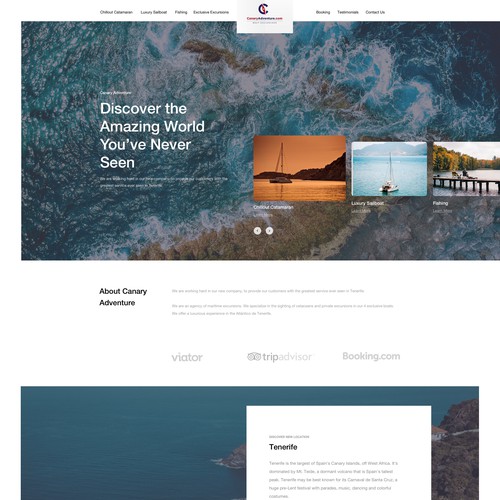 Web page design contest entry by Aleksandar Nikcevic