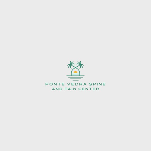 Spine and Pain Medical Practice in Florida Design by Purple V design