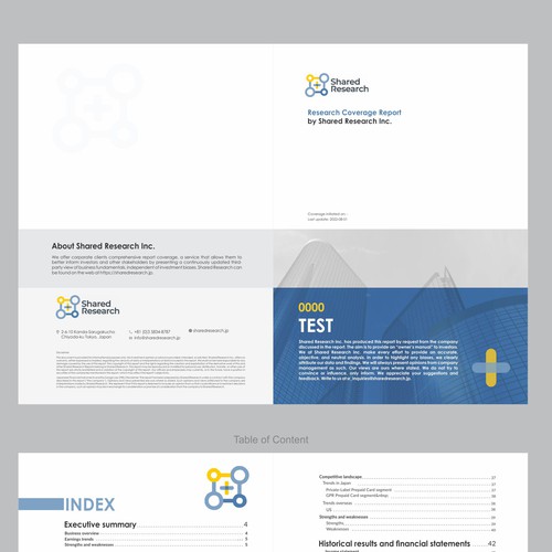 New PDF designs for Company Report Design by Dzine Solution