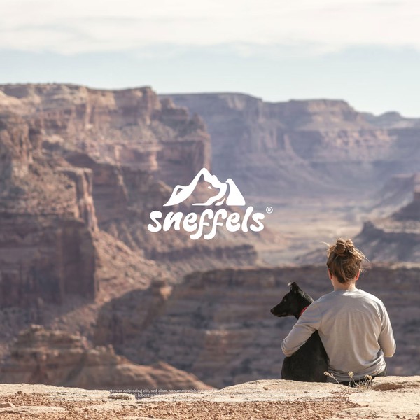 Dog Products for Trekking