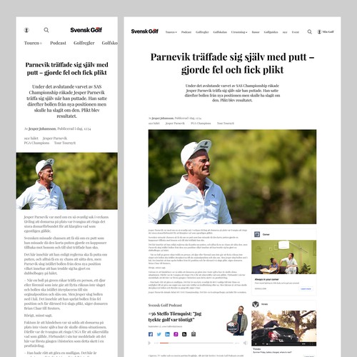 Design-Entwurf in der Kategorie Webseiten-Design von SouerBerry