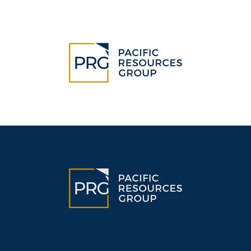 PRG Logo and Brand Guide Design by GraphicAjwa