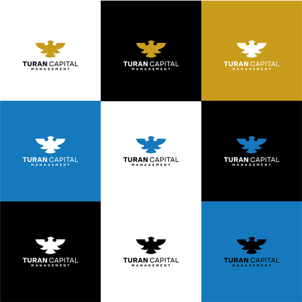Logo Design Concept For Turan Capital Management
